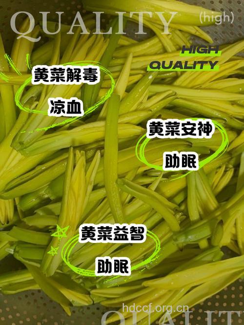黄绿色蔬菜能防癌吗