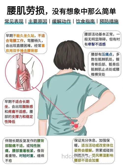 主要的腰肌劳损的病因
