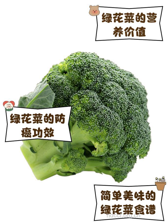绿菜花——抗癌蔬菜