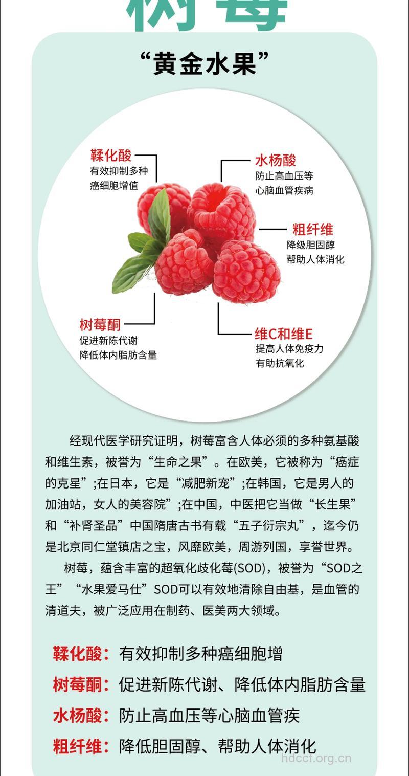 吃树莓有助于防肝癌