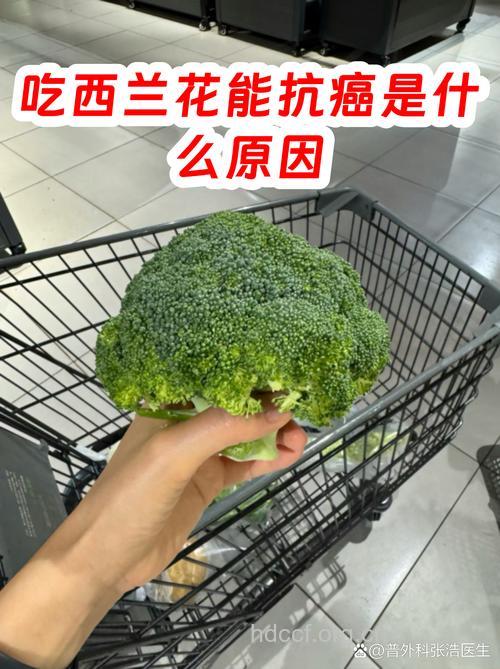 西兰花能阻止乳腺癌细胞扩散吗