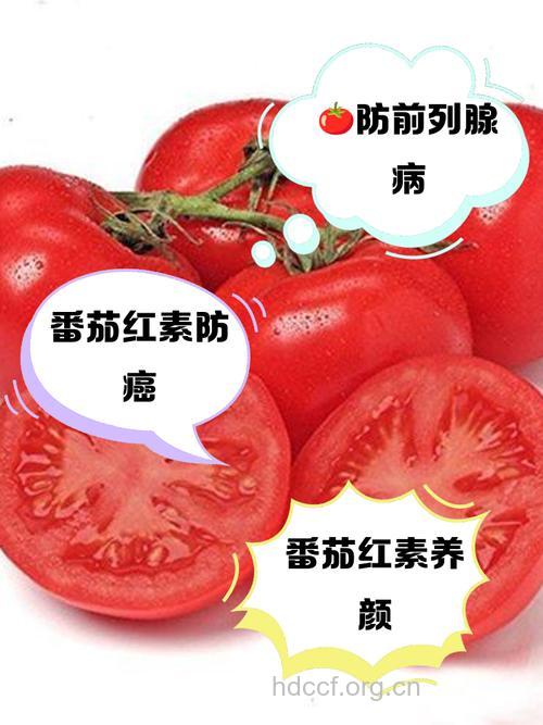 番茄红素可降低肺癌的发生