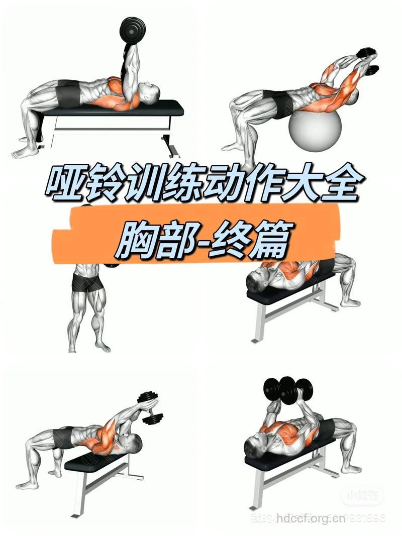 哑铃怎么练胸肌中缝 两个动作帮搞定