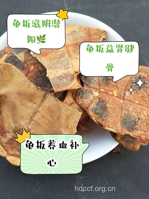 胰腺癌的龟板饮食疗法
