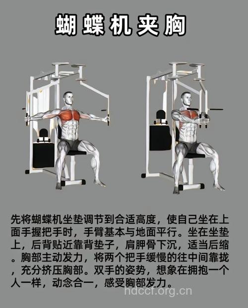 拉力器怎么练胸肌 夹胸动作不能少