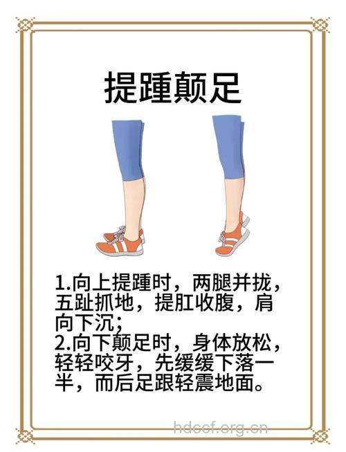 提踵的方法有哪些 详解三种变化式