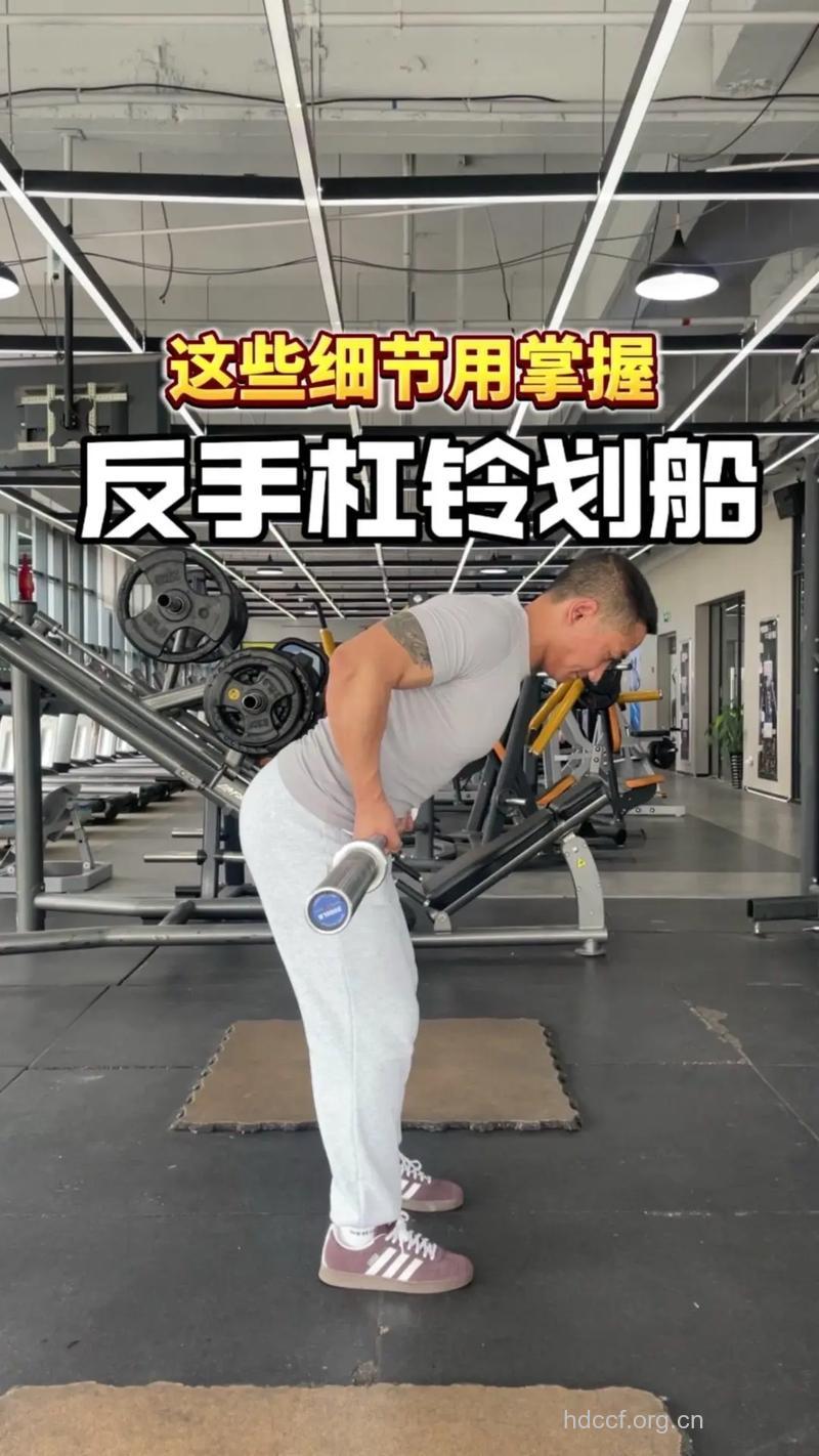 哑铃反握划船怎么做 这样做最标准