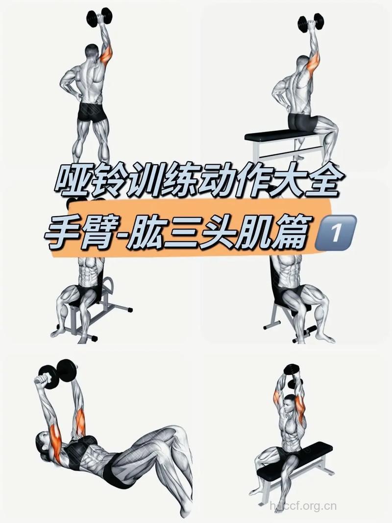 肱三头肌内侧怎么练 这两动作效果惊人