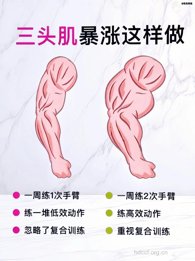 肱三头肌如何训练 这三个动作要牢记