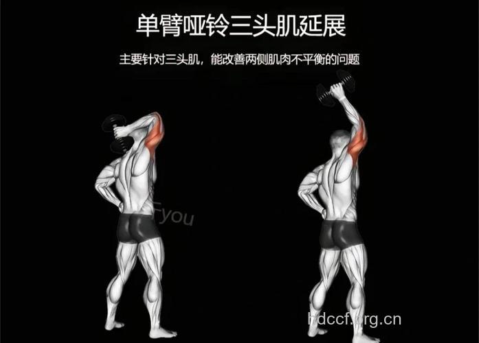 拉伸肱三头肌有妙招 这样做就对了