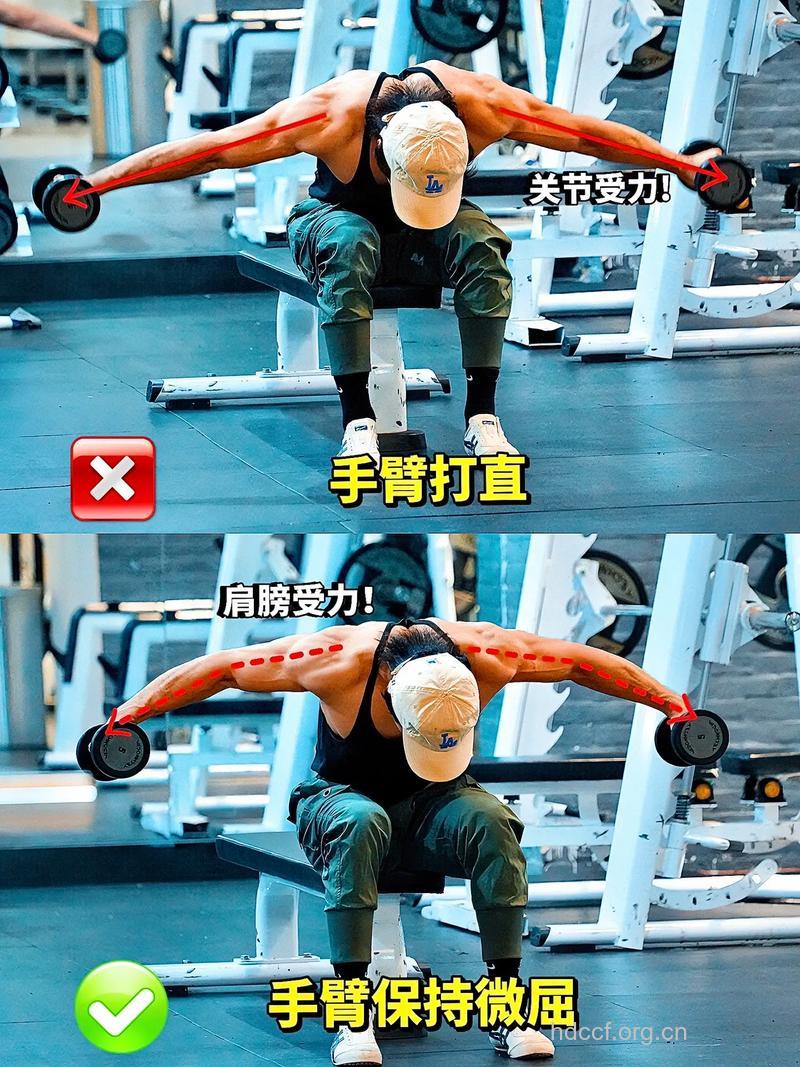 哑铃俯立飞鸟 你学会了吗