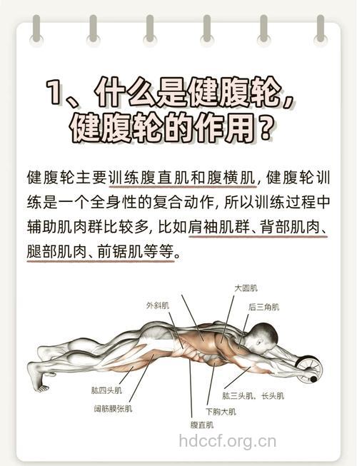 健腹轮技巧 健腹轮怎么练好