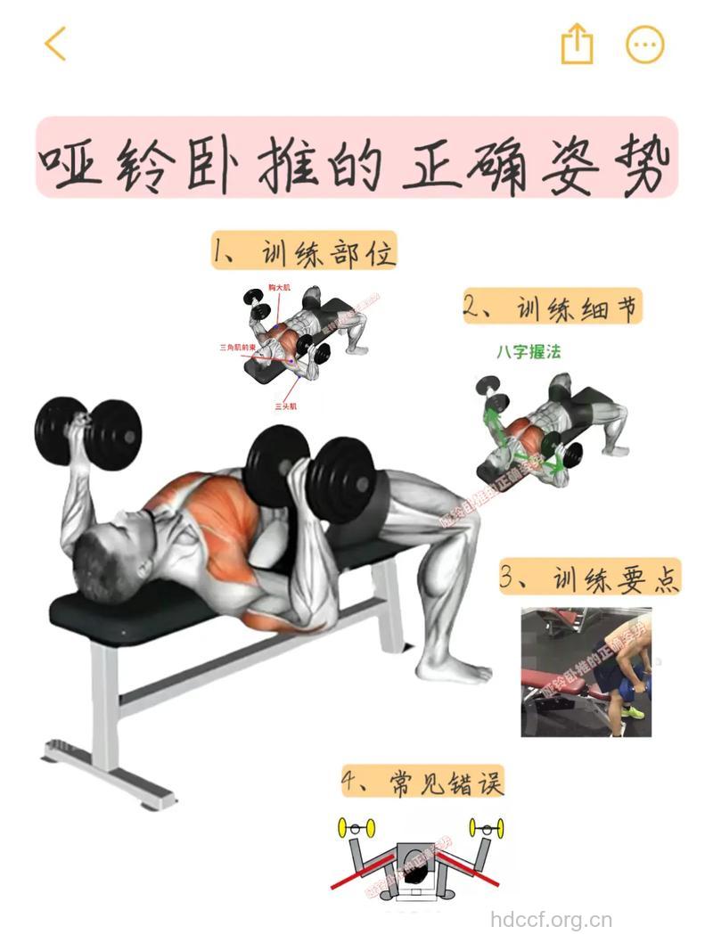 卧推能用哑铃吗 哑铃练卧推的好处