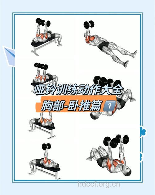 哑铃卧推练哪 推荐哑铃卧推动作要领