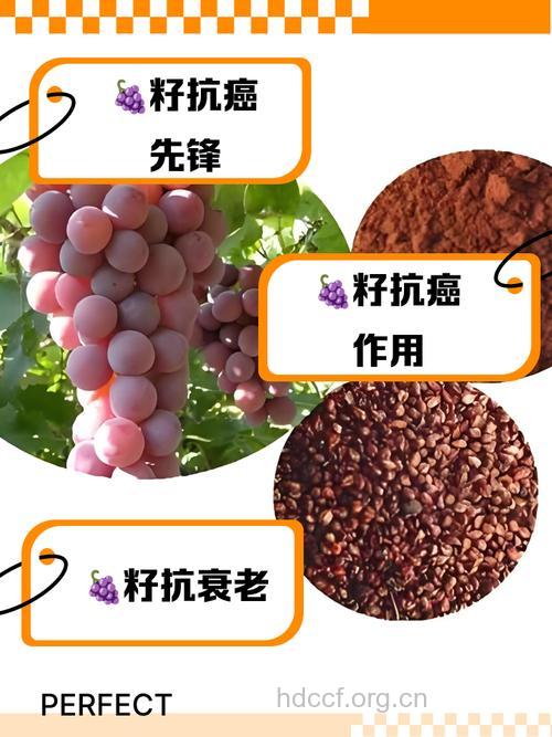 葡萄籽能预防皮肤癌吗