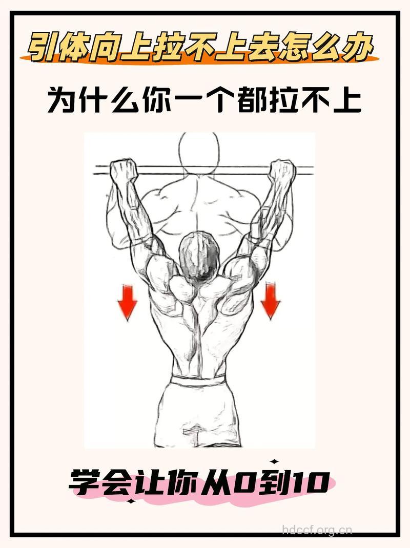 引体向上做不了有哪些人 如何做出第一个
