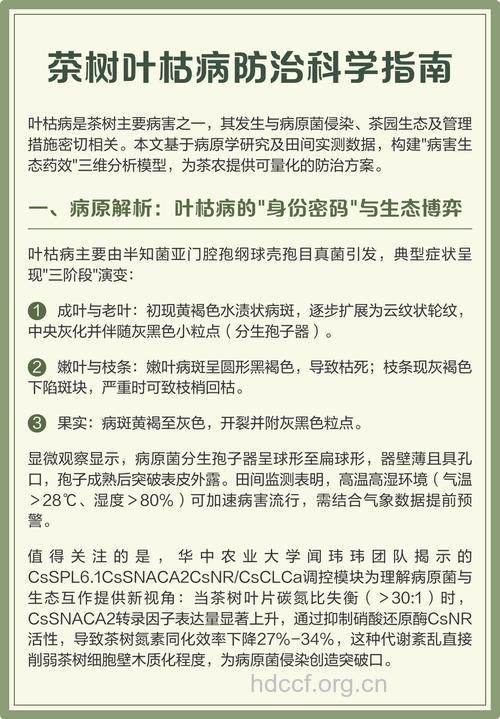 茶叶可预防癌症发生吗