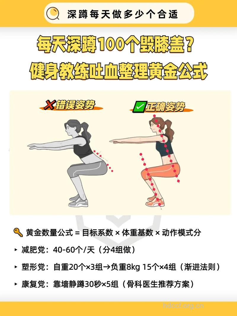 徒手深蹲一天多少个 50至100
