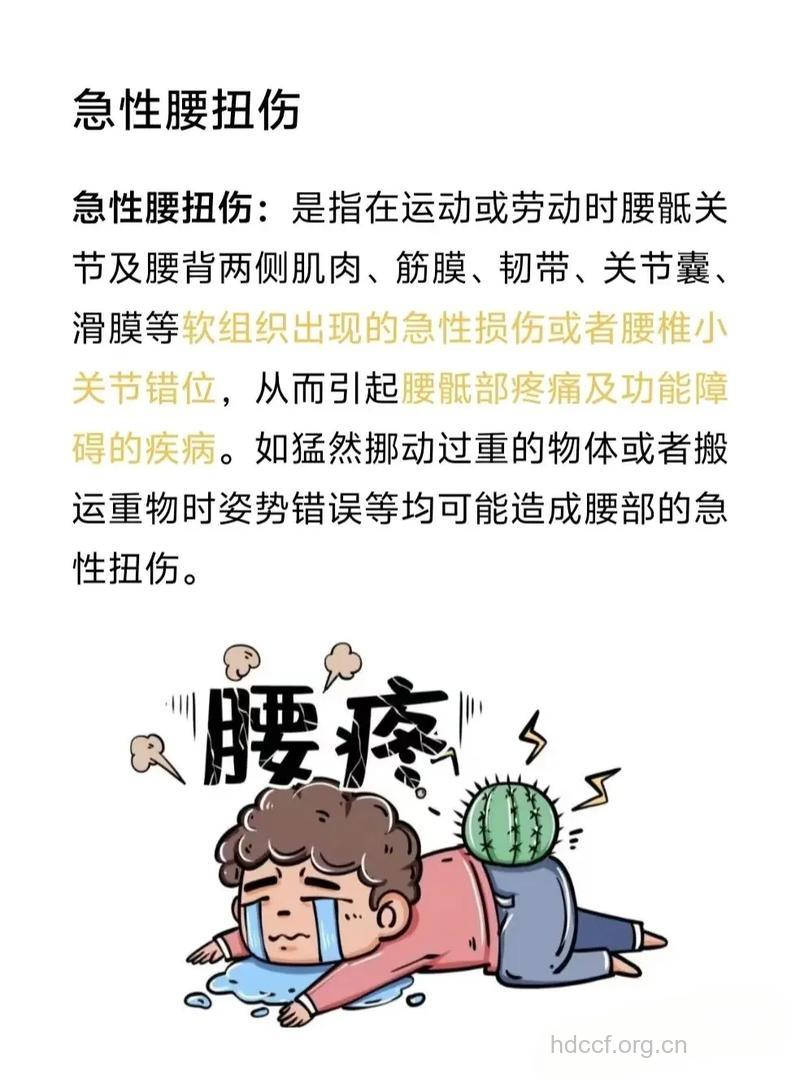 运动疾病脑 腰部扭伤和劳损