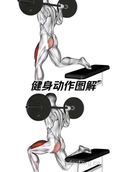深蹲练哪里的肌肉 你都知道吗