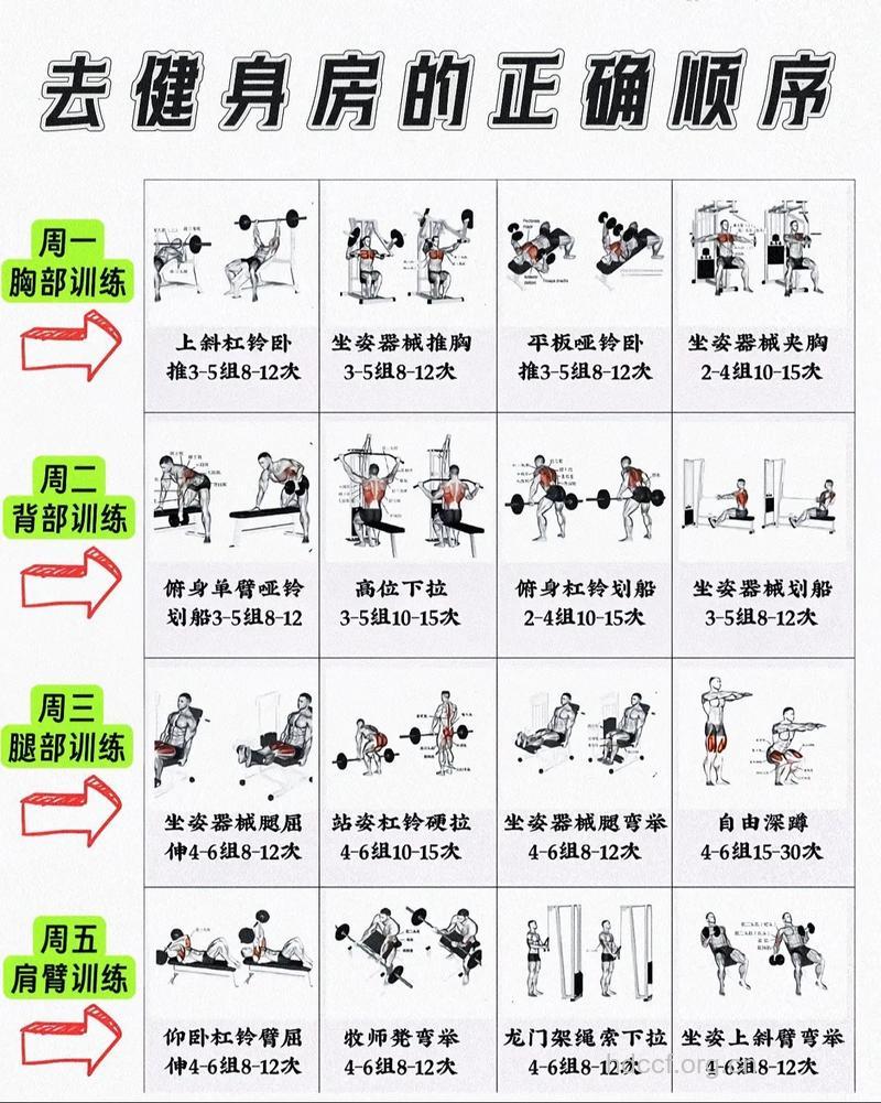 在健身房如何减肥 要做什么运动