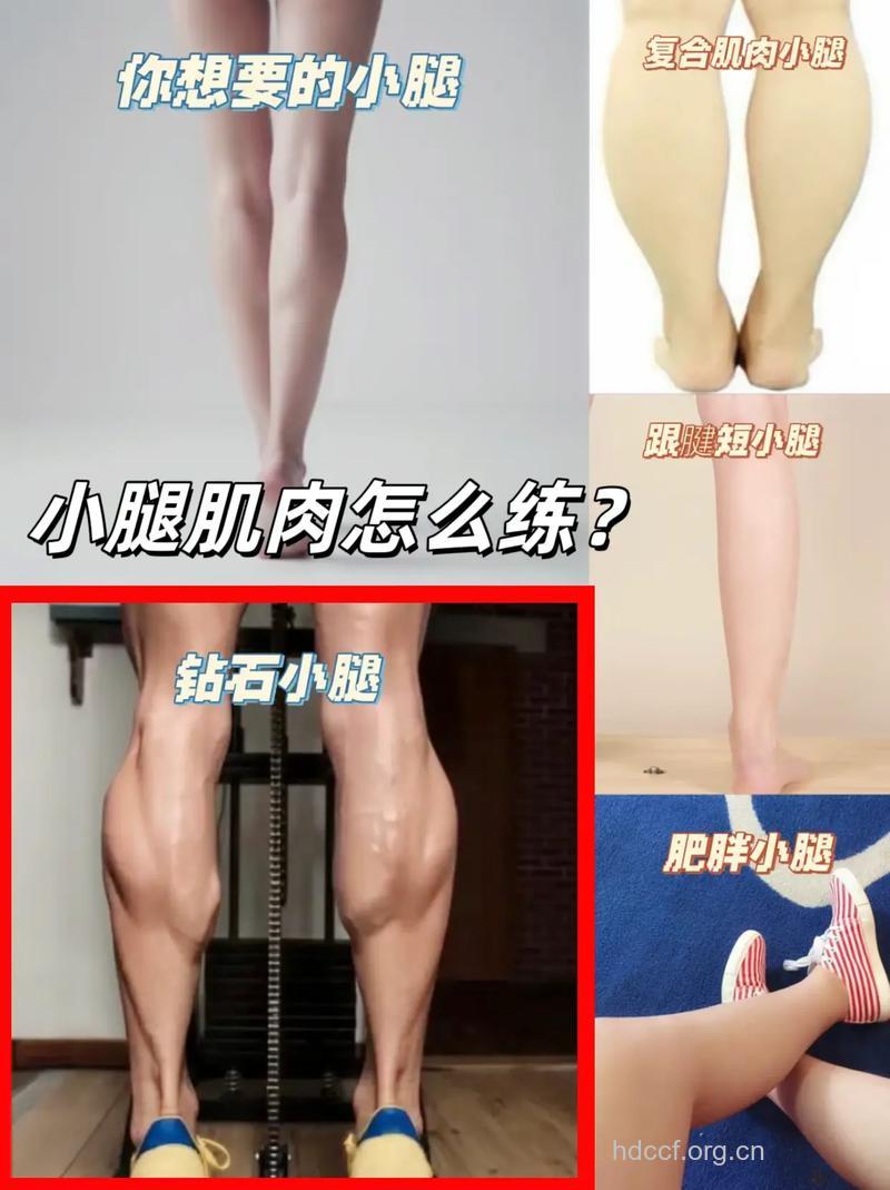 健身教练 教你练小腿肌肉