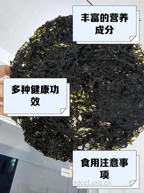 吃紫菜预防耳鸣耳聋