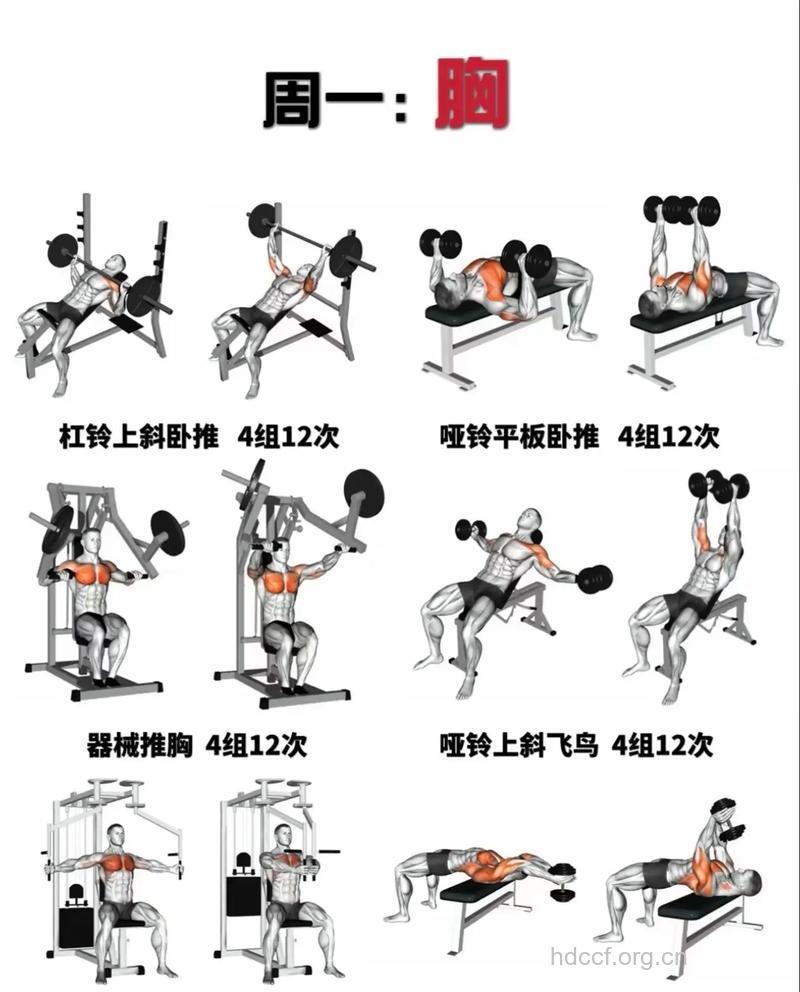 健身房的有氧器械大比拼