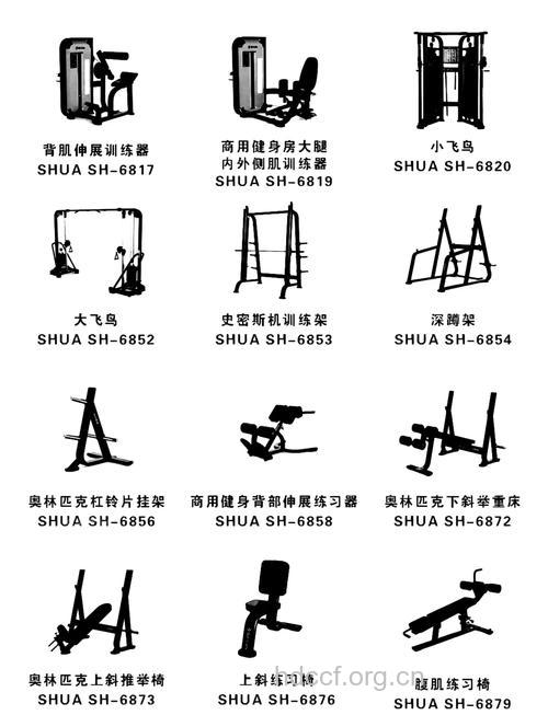 哪些健身器材适合家用 推荐5种健身器材