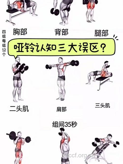 哑铃健身有误区 你知道了几个