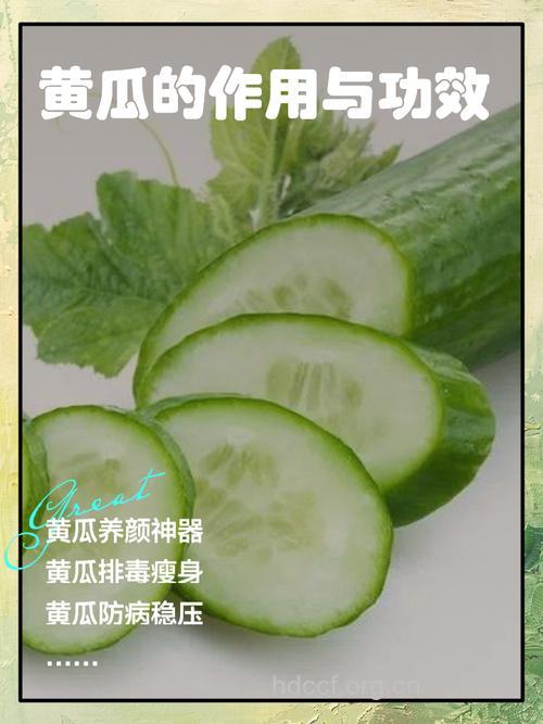 抗癌食物中黄瓜作用不可小觑