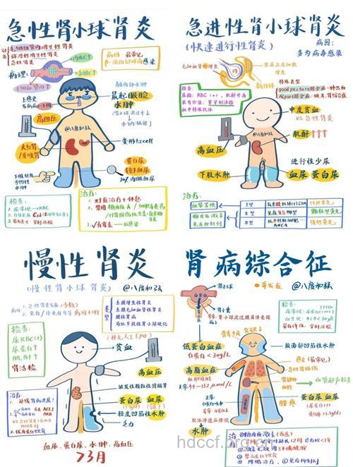 儿童肾病可以分四大类型