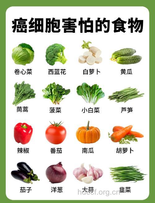 癌症病人吃什么食物好