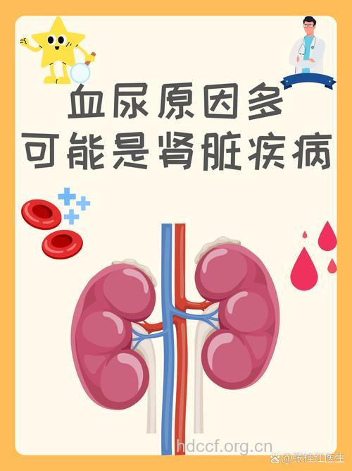 血尿或许是遗传性肾病在害你