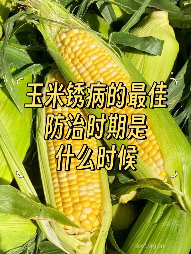 怎么选择玉米预防癌症方法