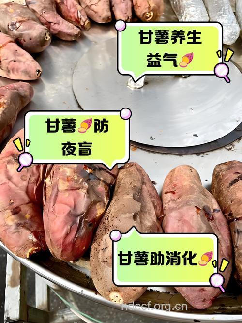 熟甘薯防癌有奇效