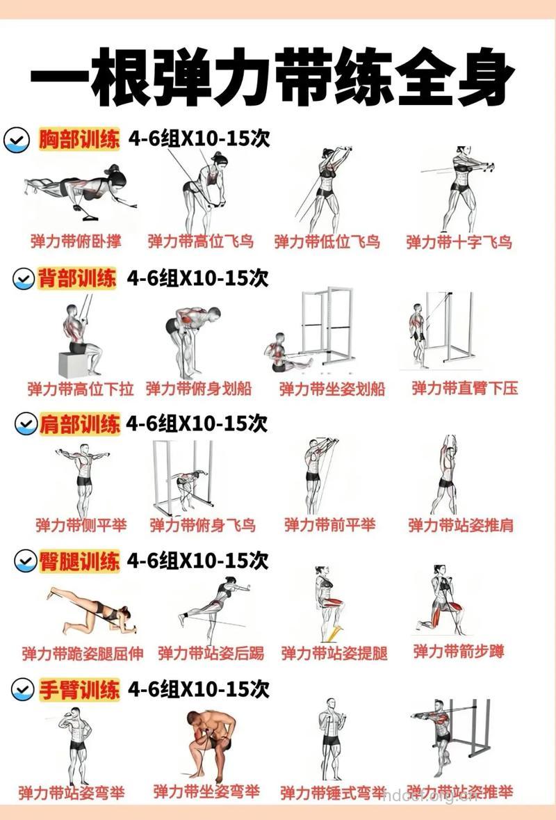 怎么用弹力绳健身方法