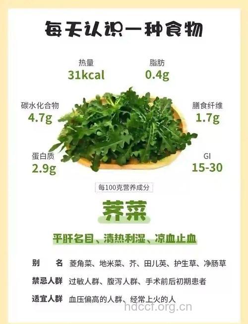 野菜旅游慎食野菜注意卫生