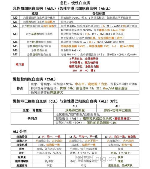 白血病具体有哪些分类呢