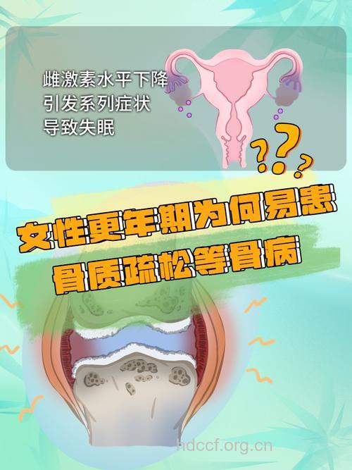 女性更年期易患骨质疏松