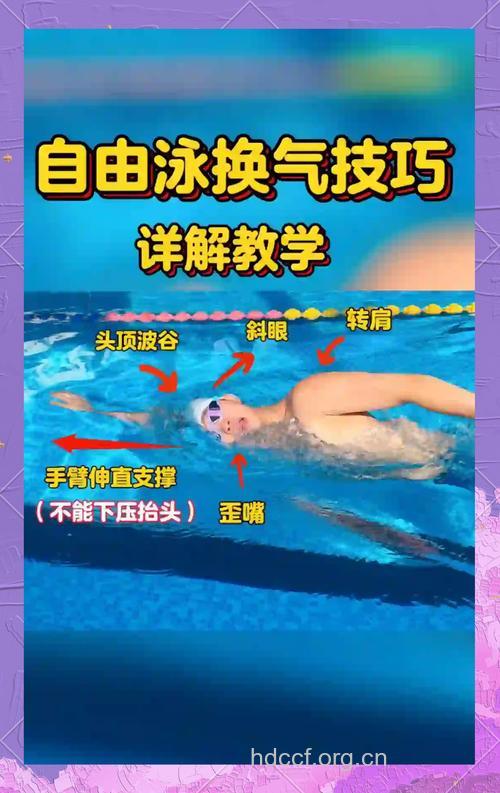 自由泳怎样换气 牢记这三点要素