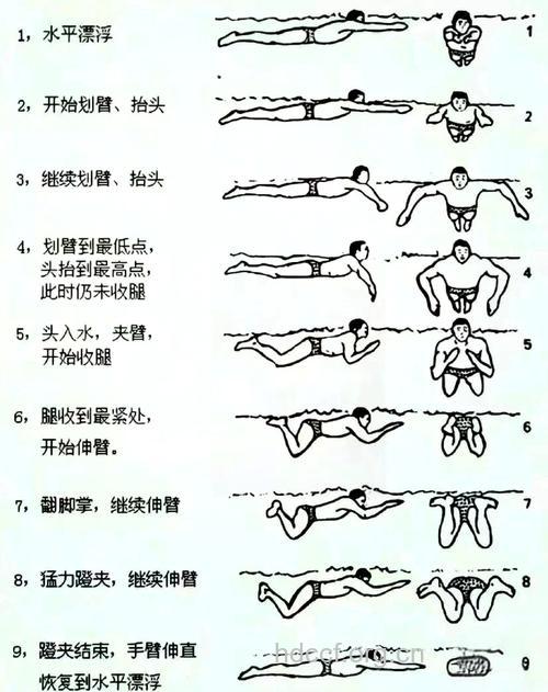 蛙泳换气技巧 这样做最正确
