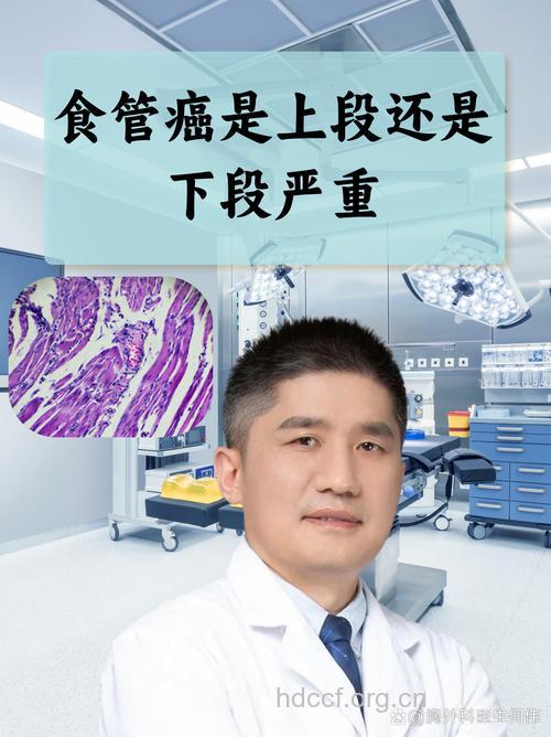 专家:一半癌症是吃出来的