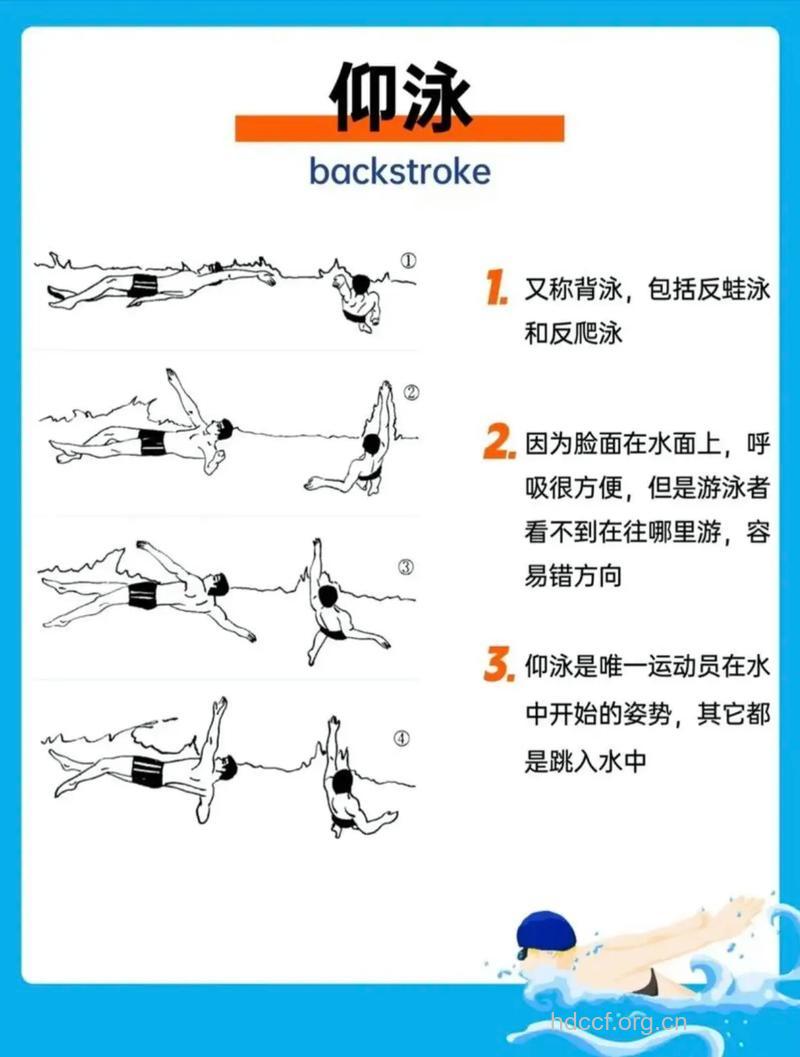 仰泳技术与练习 游的好要这样做