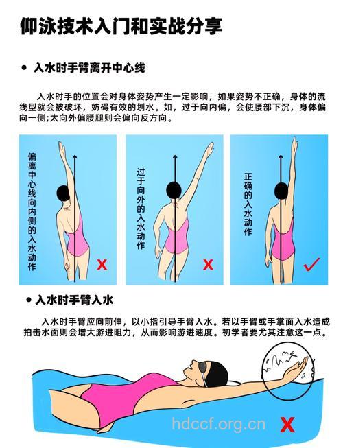 仰泳动作分解之手臂动作