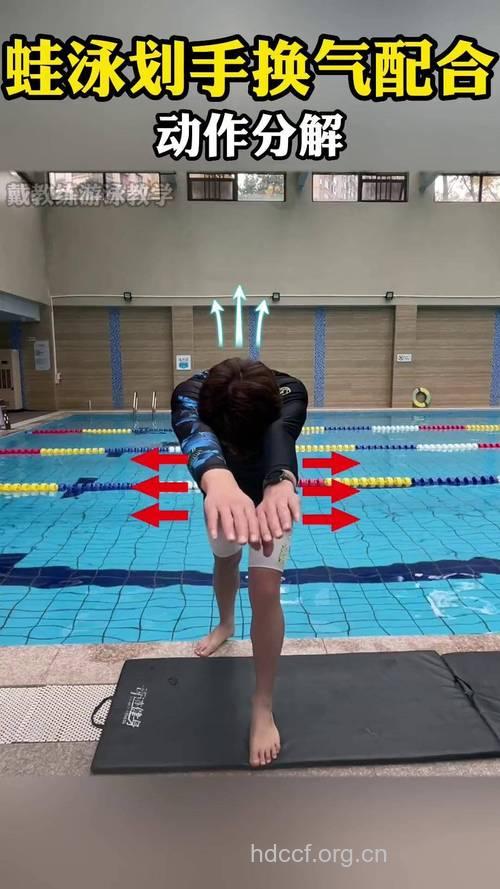 学蛙泳怎样换气 揭秘换气全过程