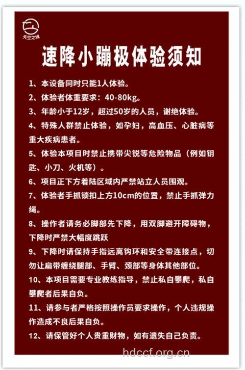 蹦极的五个好处 勇者的选择