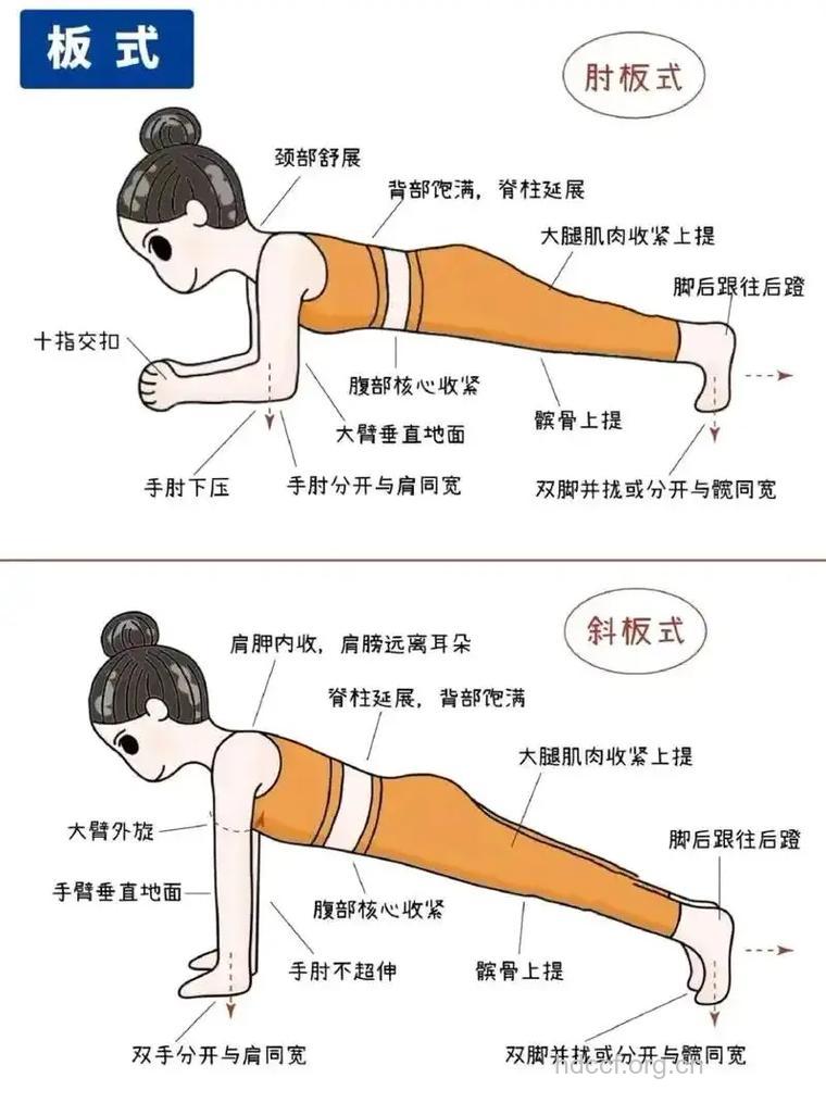 肘部平板支撑怎么做 这两个步骤要牢记