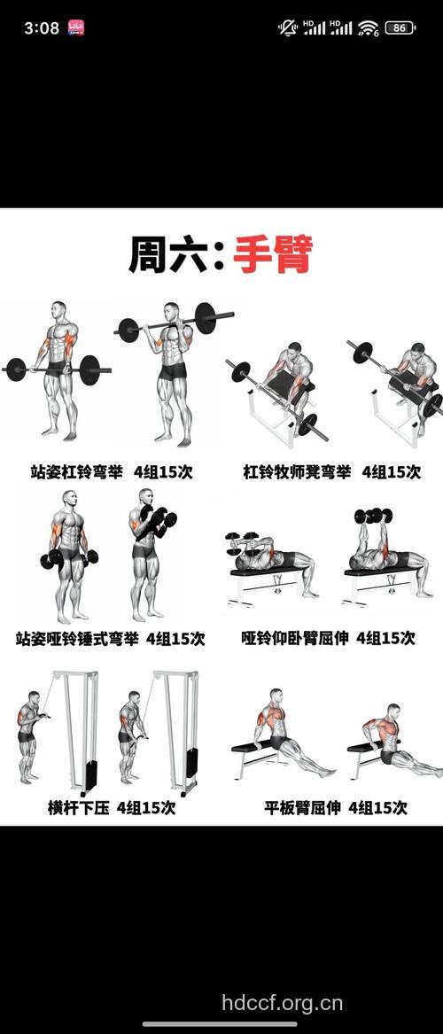 托臂杠铃弯举怎么练 快来学