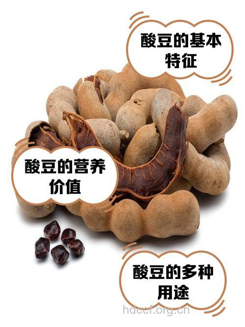 豆类食物具有抗子宫内膜癌的作用